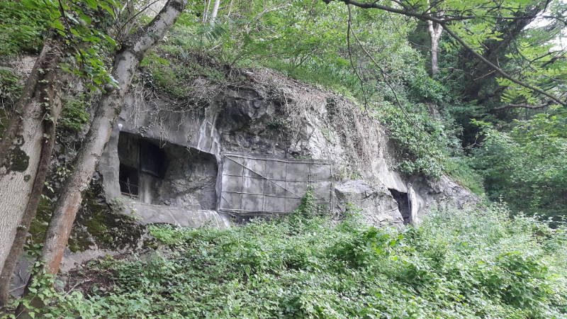 embrasure fort armée suisse