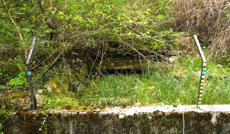 enclos vivarium lausanne urbex